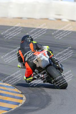media/Feb-04-2023-SoCal Trackdays (Sat) [[8a776bf2c3]]/Turn 10 Backside (1010am)/